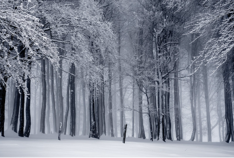 郴州瑞马壁挂 炉今天天气